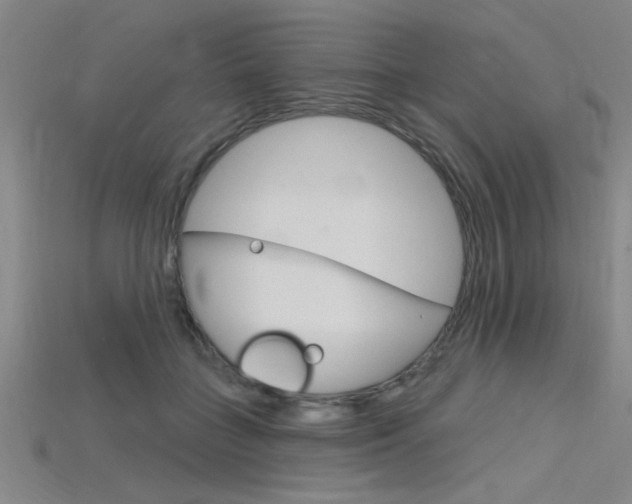 X0000115810555200911131045