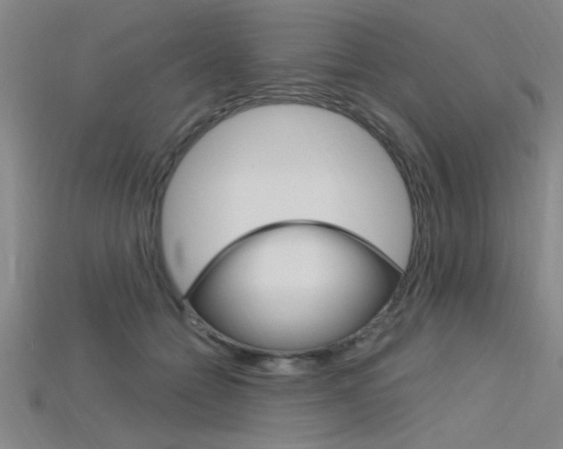 X0000115810558200911131045