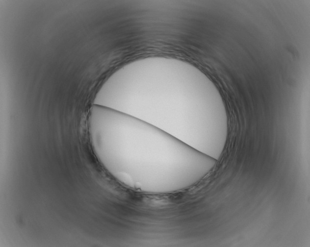X0000115810559200911131045