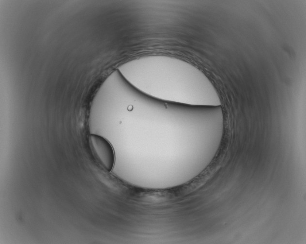 X0000115810567200911131045