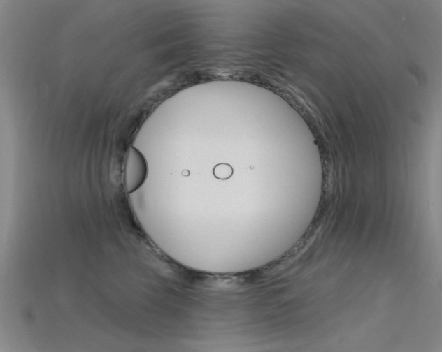 X0000115810569200911131045