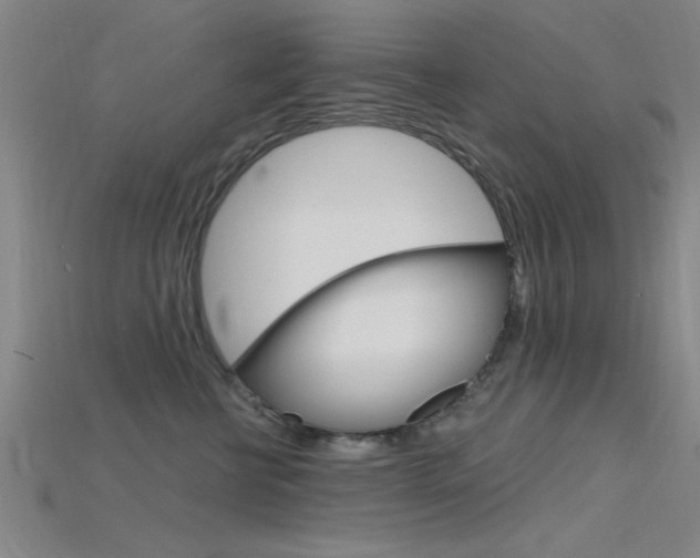 X0000115810570200911131045