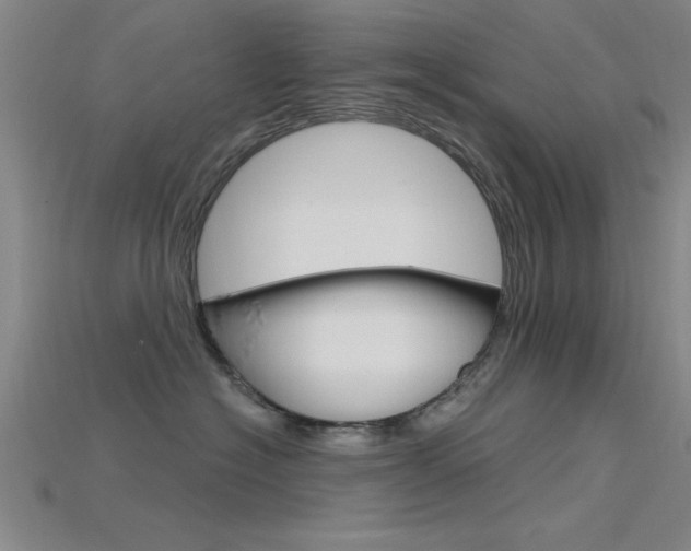 X0000115810574200911131045
