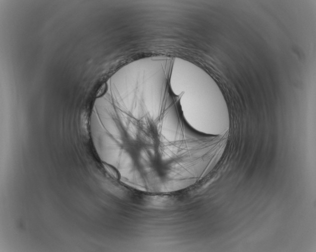 X0000115810575200911131045
