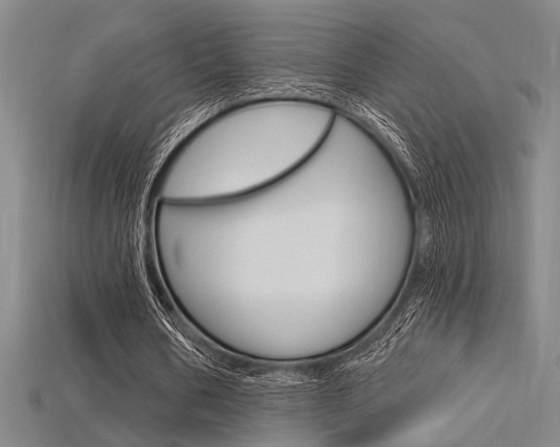 X0000115810578200911131044