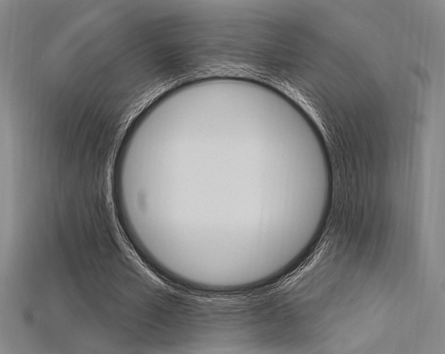 X0000115810581200911131044
