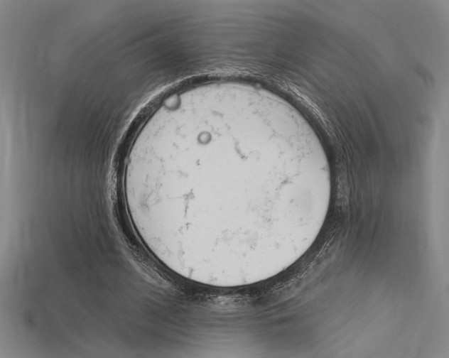 X0000115810584200911131044