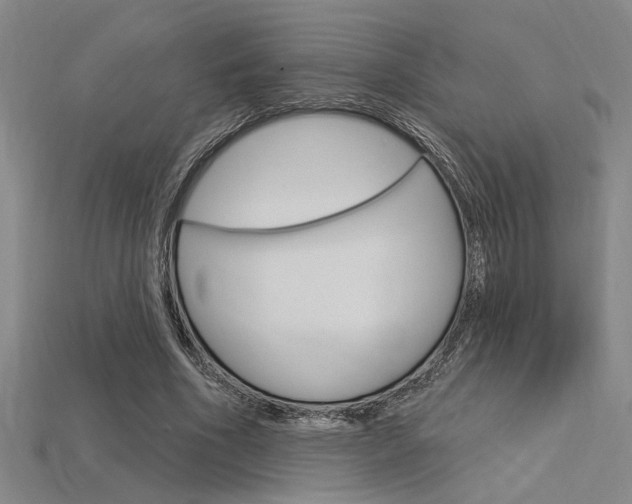 X0000115810586200911131044