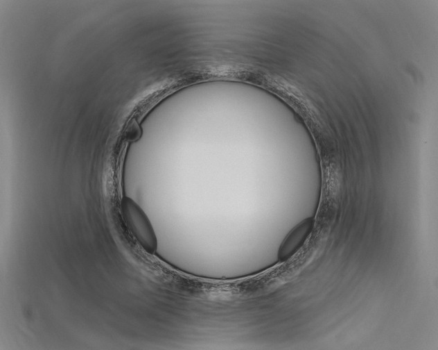 X0000115810587200911131044