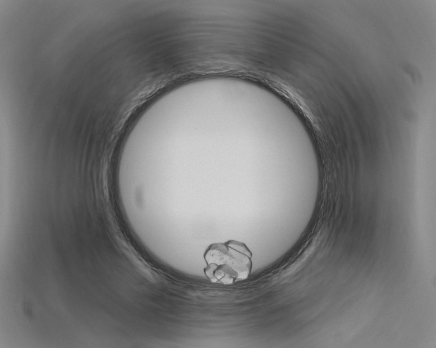 X0000115810589200911131044