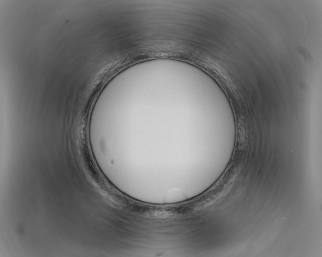 X0000115810590200911131044