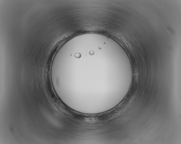 X0000115810591200911131044