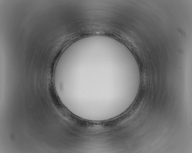 X0000115810594200911131044