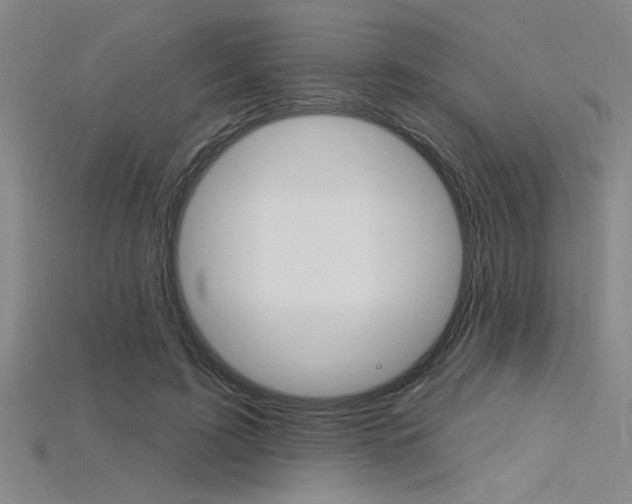 X0000115810595200911131044