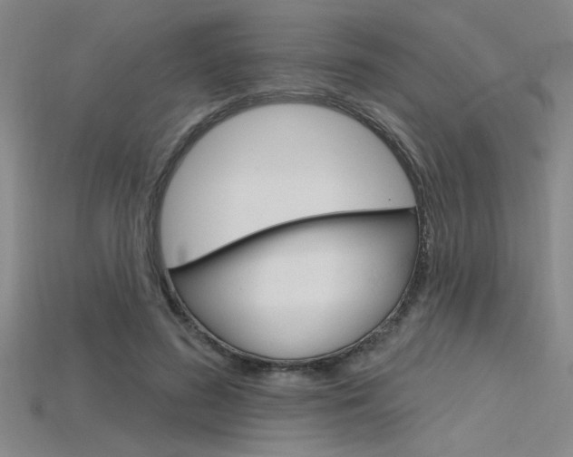 X0000115810596200911131044