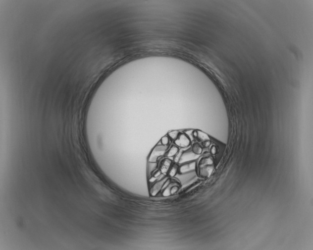 X0000115810597200911131044