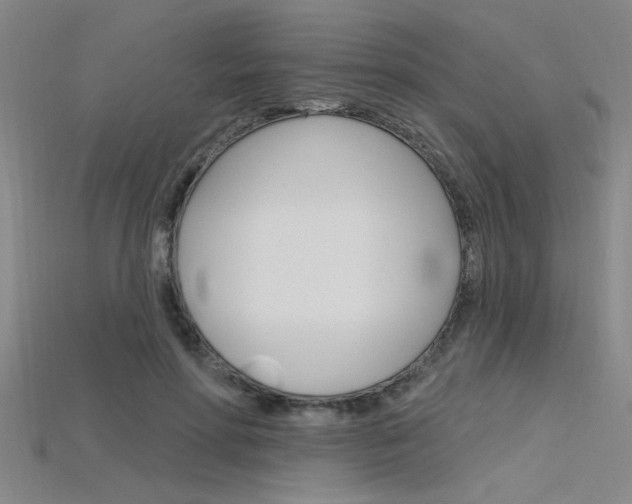 X0000115810598200911131044