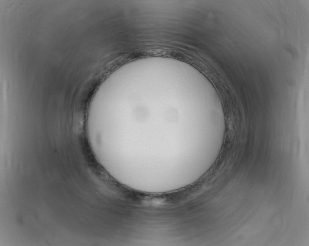 X0000115810602200911131044