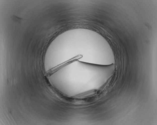 X0000115810605200911131044