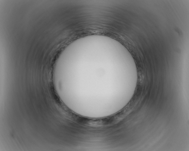 X0000115810606200911131044
