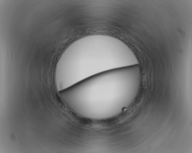 X0000115810608200911131044