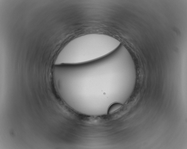 X0000115810612200911131044