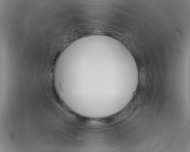 X0000115810614200911131044