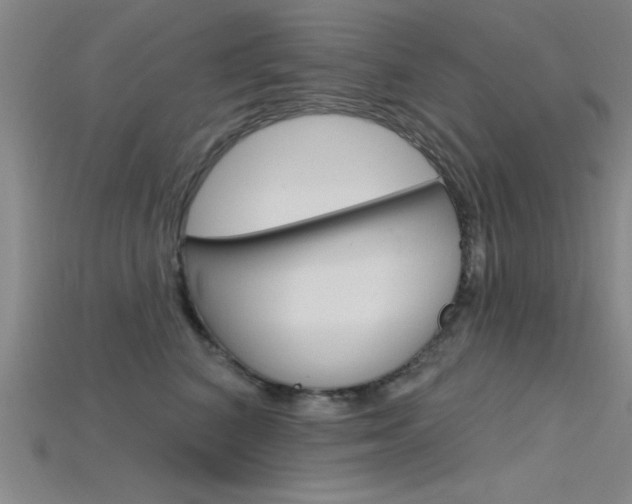 X0000115810616200911131044