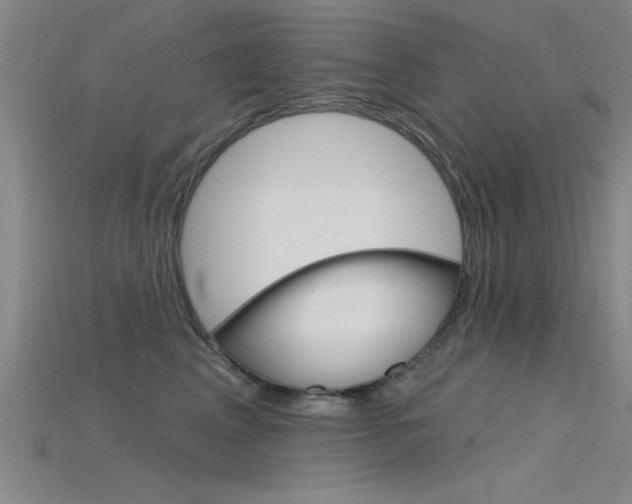 X0000115810617200911131044
