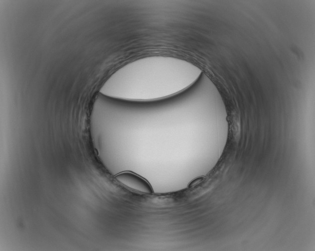 X0000115810619200911131044