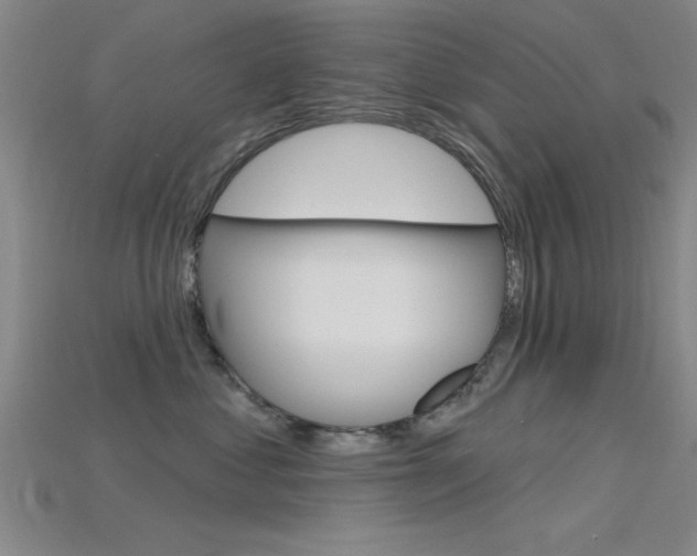 X0000115810621200911131043