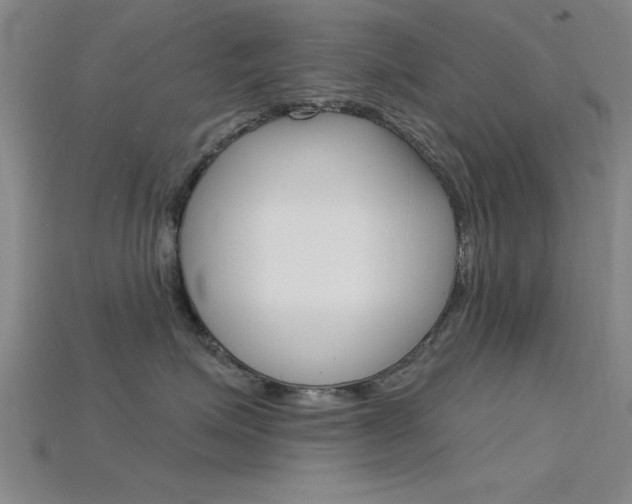 X0000115810623200911131043