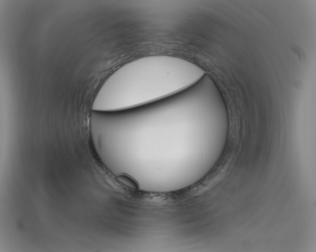 X0000115810624200911131043
