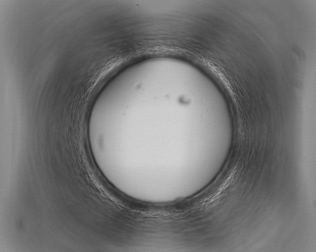 X0000115810625200911131043