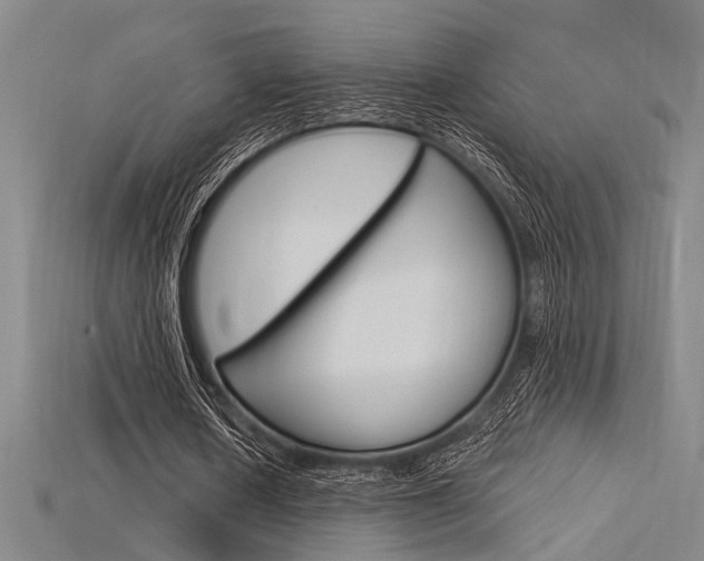 X0000115810626200911131043