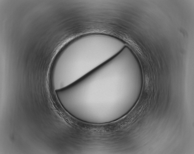X0000115810628200911131043