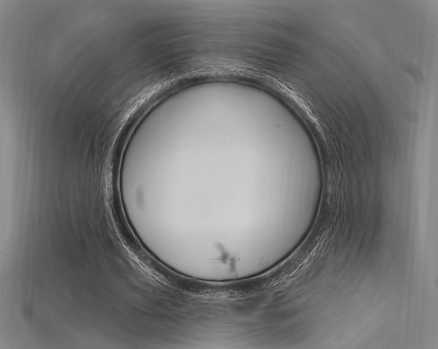 X0000115810629200911131043