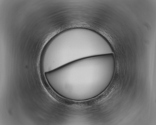 X0000115810630200911131043