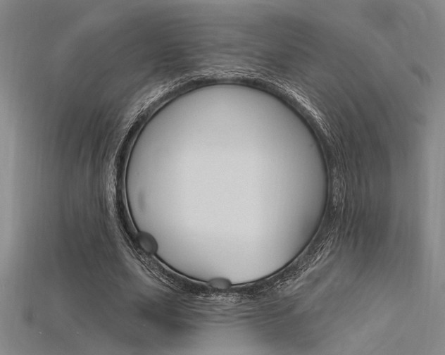 X0000115810631200911131043