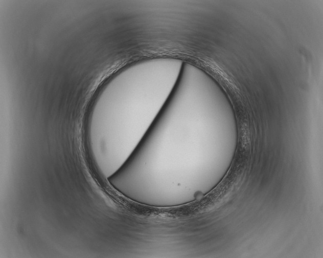 X0000115810634200911131043