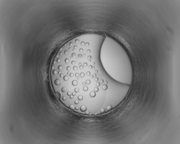 X0000115810635200911131043