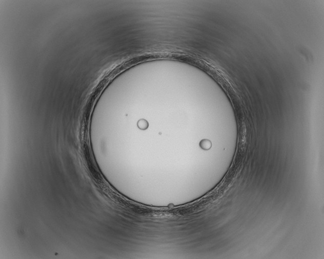 X0000115810636200911131043