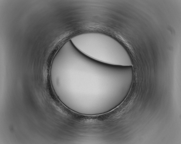 X0000115810637200911131043