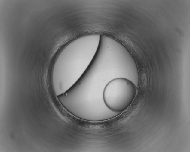 X0000115810638200911131043