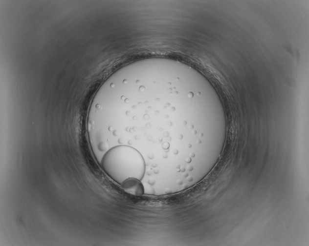 X0000115810639200911131043