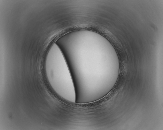 X0000115810640200911131043