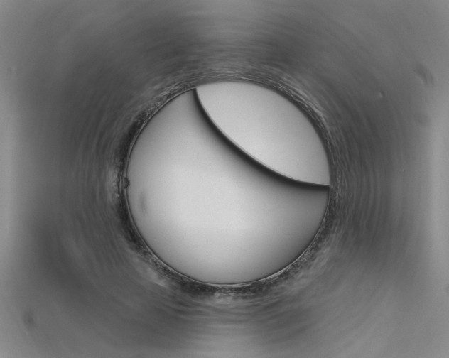 X0000115810641200911131043