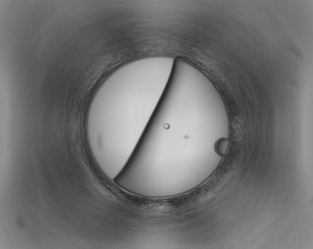 X0000115810642200911131043