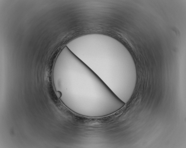 X0000115810643200911131043