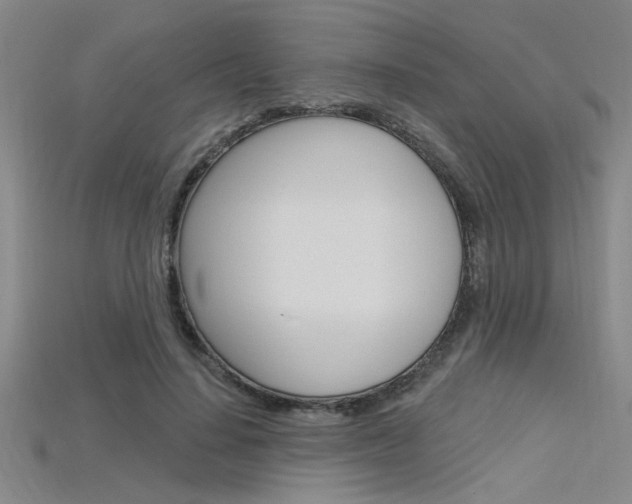 X0000115810644200911131043